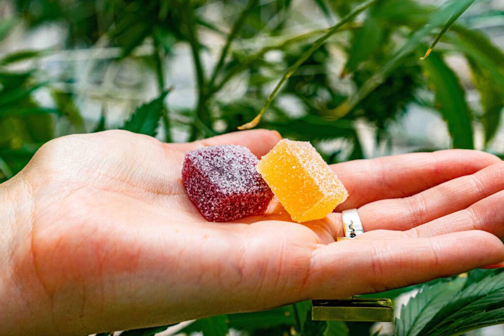 Picture-of-a-person-with-two-gummy-edibles