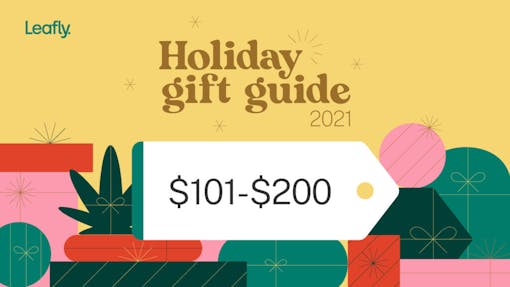 Holiday gift guide 2021 with $101-200 price tag over cheery gift background