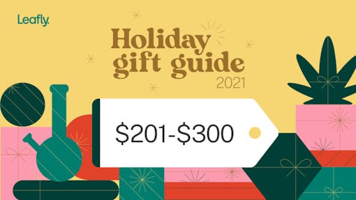 Holiday gift guide 2021 with $201-300 price tag over cheery gift background