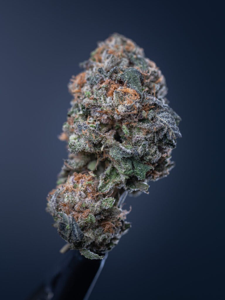 wedding crasher marijuana strain