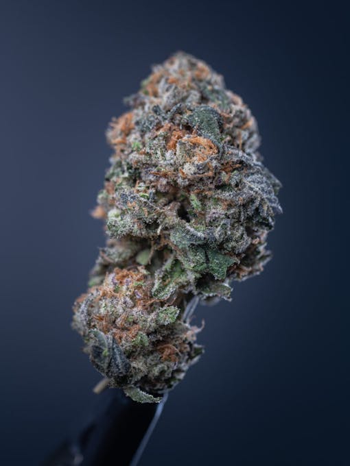 wedding crasher marijuana strain