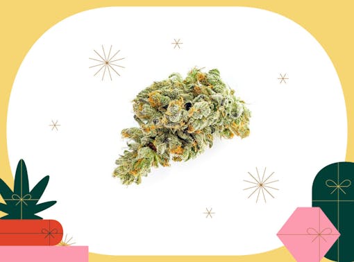 Nova Glue weed by MSIKU