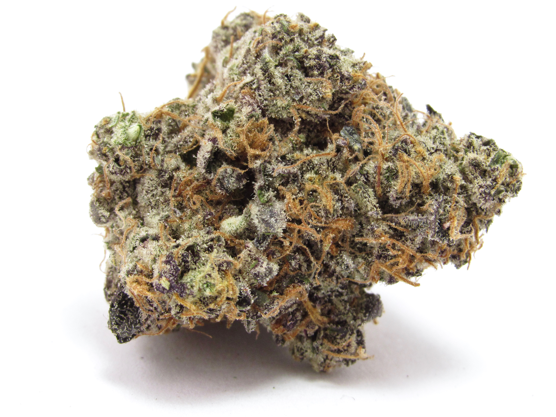 Include some Phinest + Cannarado carbon fiber in your diet. (David Downs / Leafly)