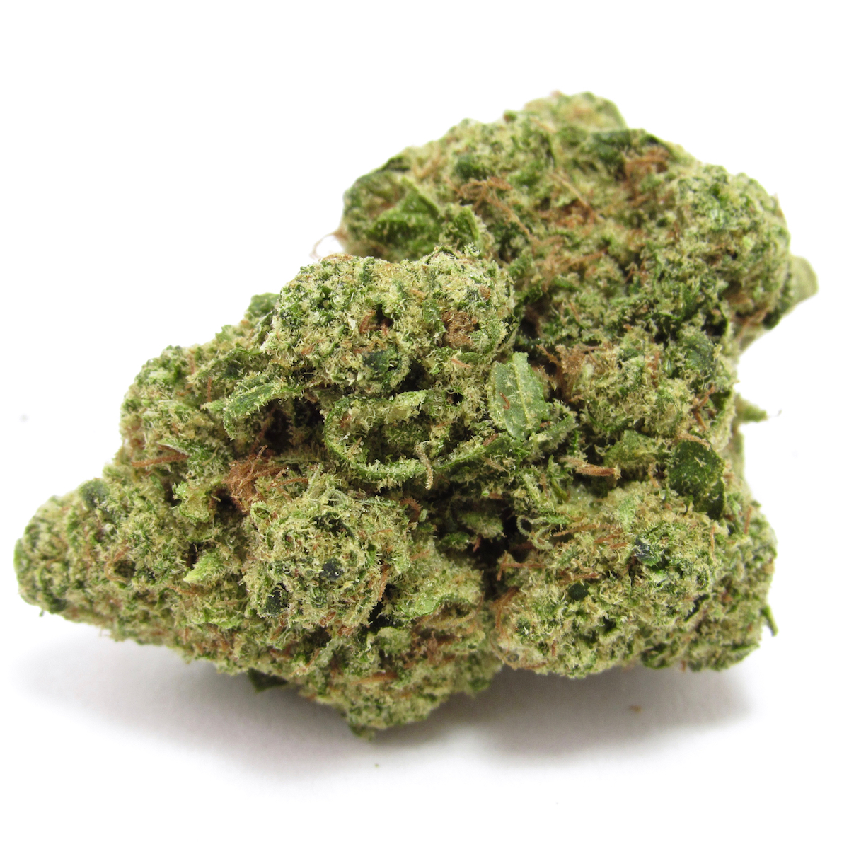 Grab your glasses, the tide is here. Rimrock Hells OG by The Green Cross, SF (David Downs / Leafly)