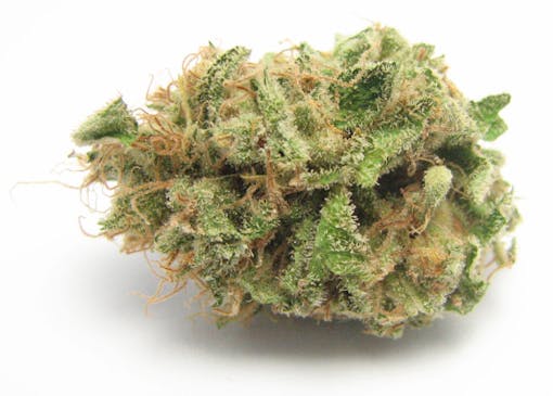 Strawberry Cough. (DavidDowns/Leafly)