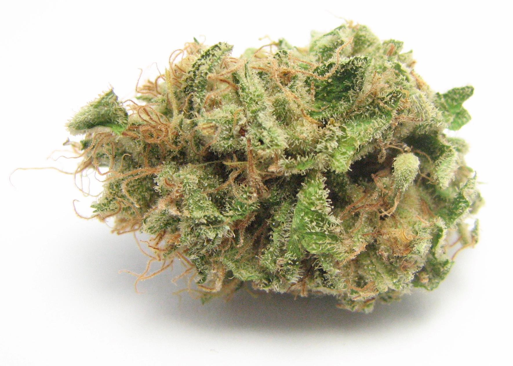 Strawberry cough. (DavidDowns / Leafly)