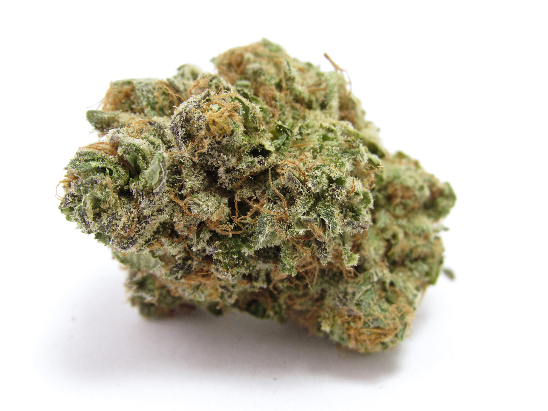 Zlushi takes super Z-terps and adds mimosa to it. (David Downs / Leafly)