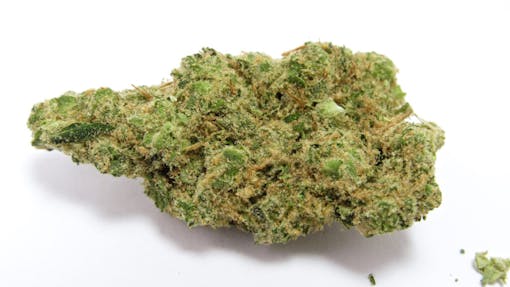 It’s ZMO-time: Tony Mendo's Z3 x GMO. (David Downs/Leafly)