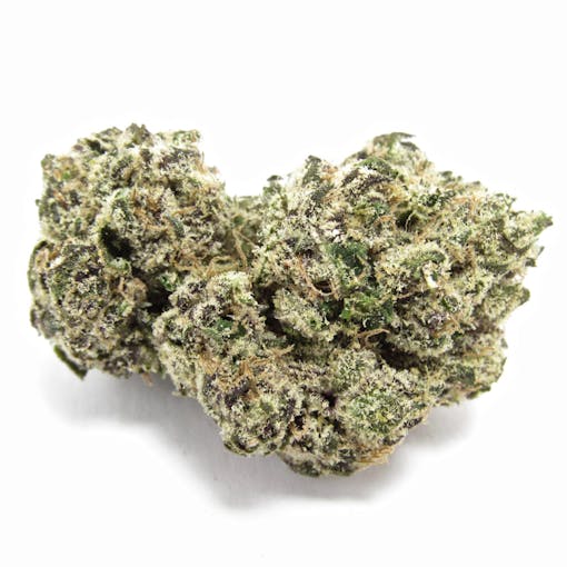 Gelato 41 thrives in new crosses like this Z41 from CaliKush Farms. (David Downs/Leafly)