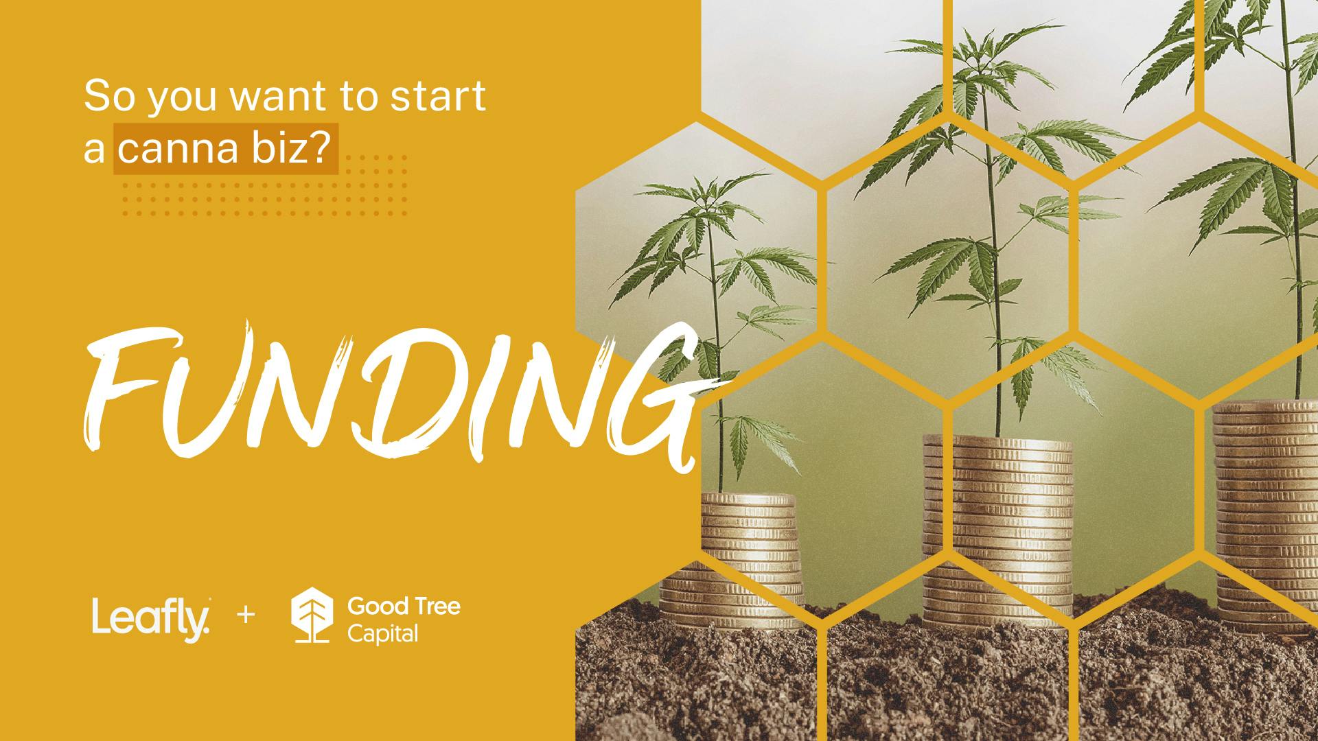 How to get funding for your cannabis business image