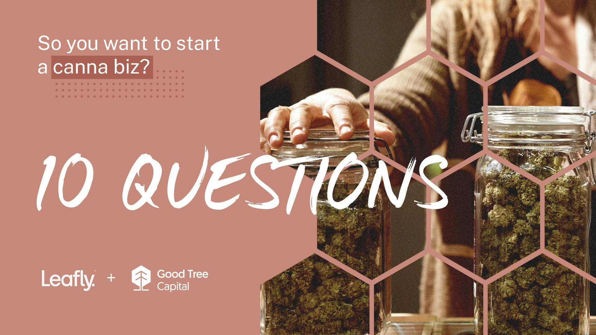 10 questions to ask before starting a cannabis business image