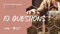so you want to start a canna biz: 10 questions