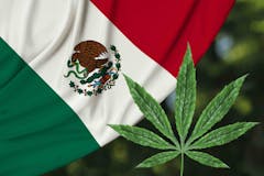 image-of-mexican-flag-and-cannabis-leaf