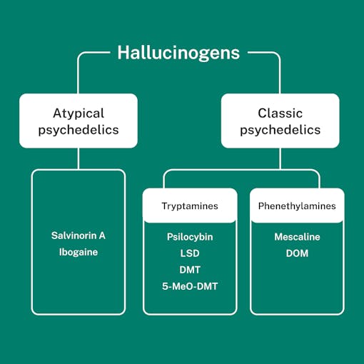 graphic-image-of-hallucinogen-categories