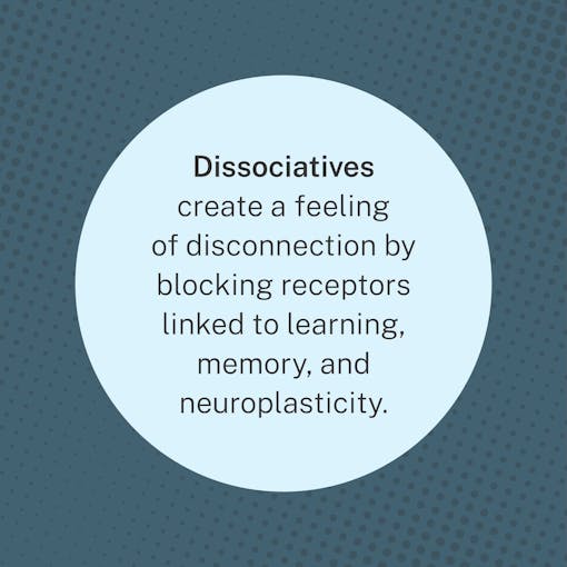 graphic-image-describing-dissociative-drugs