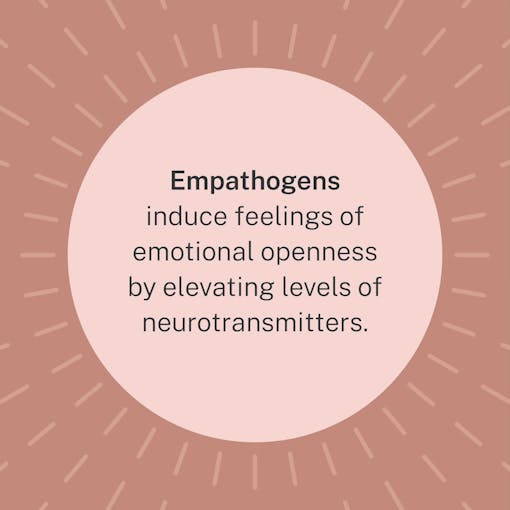 graphic-description-of-empathogenic-drugs