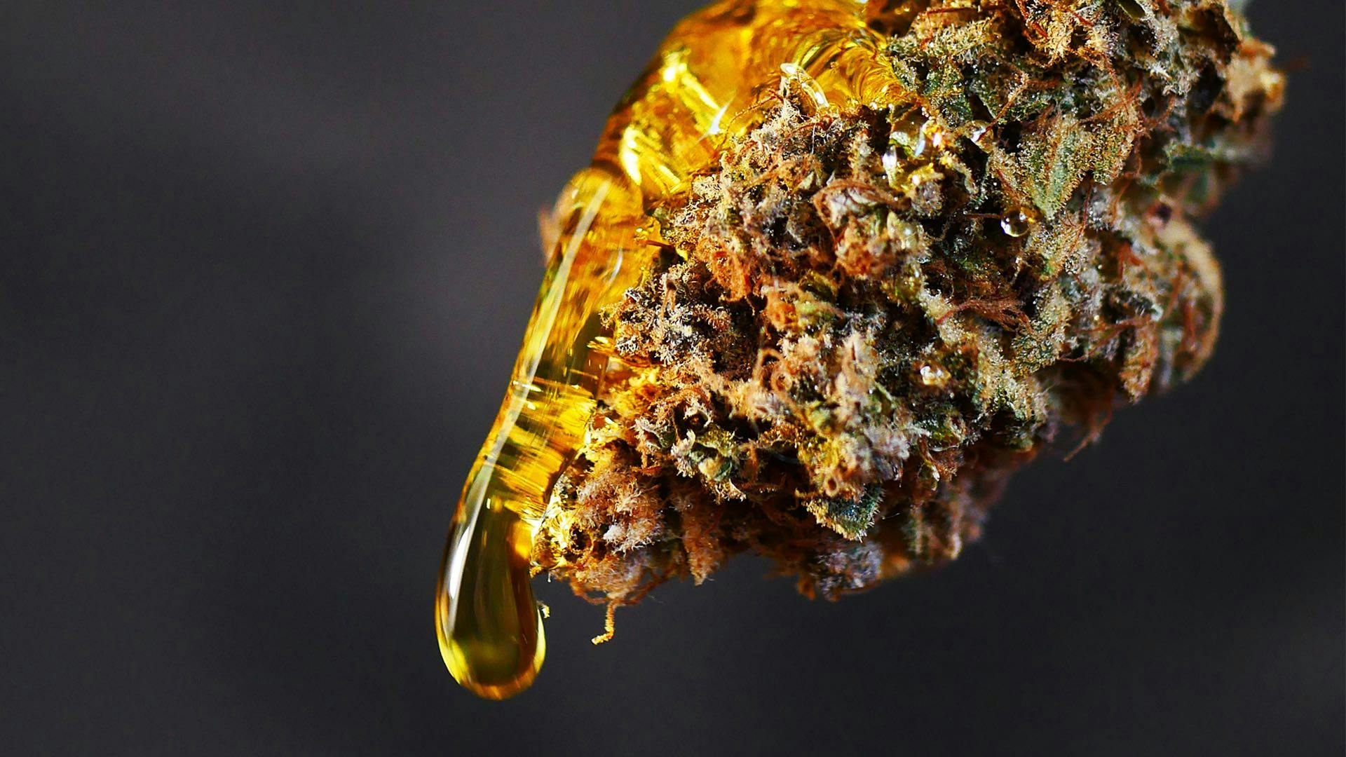 What are weed sun rocks? Leafly