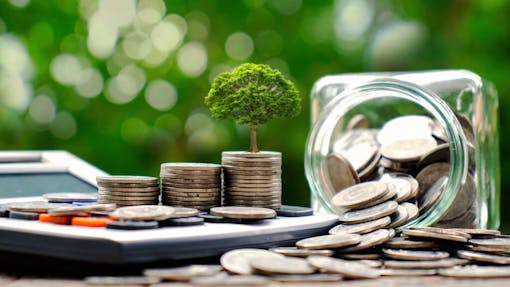 Plant trees on coins and calculators, financial accounting concepts