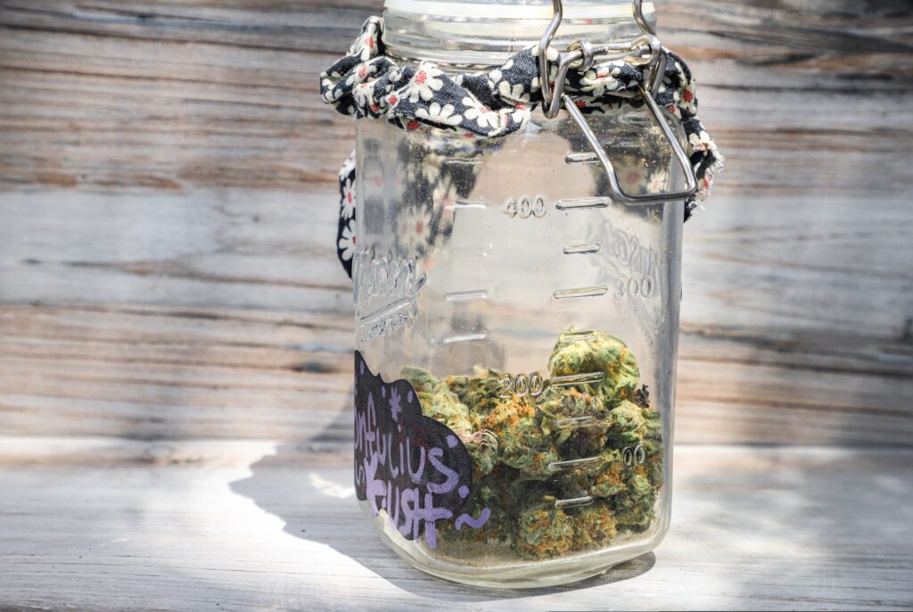 Legal cannabis that shines through a mason jar