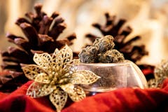 Holiday cannabis with poinsettias and pinecones