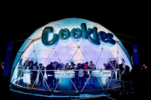 Heads fed: The Cookies dome at The Emerald Cup 2021. (Photo by Hannah X Clover; Courtesy The Emerald Cup)