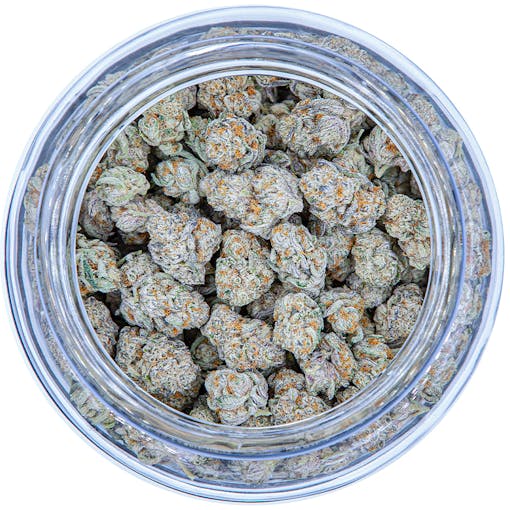 A brightly lit white bowl of cannabis buds.
