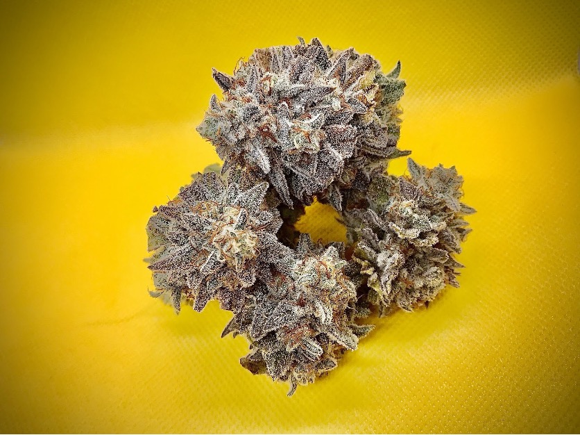 Ice cream sundae swimmer driver trunk