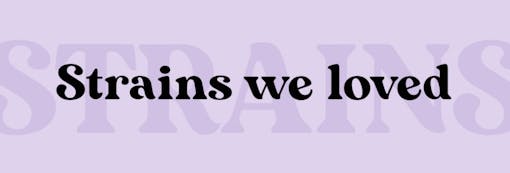 Black text reading "strains we loved" over light purple background