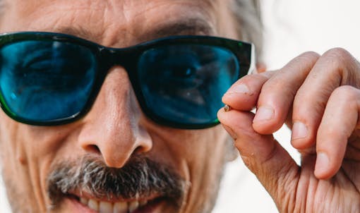 Homegrown Cannabis Co.