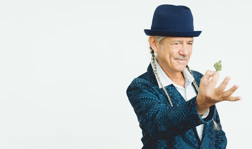 Homegrown Cannabis Co.