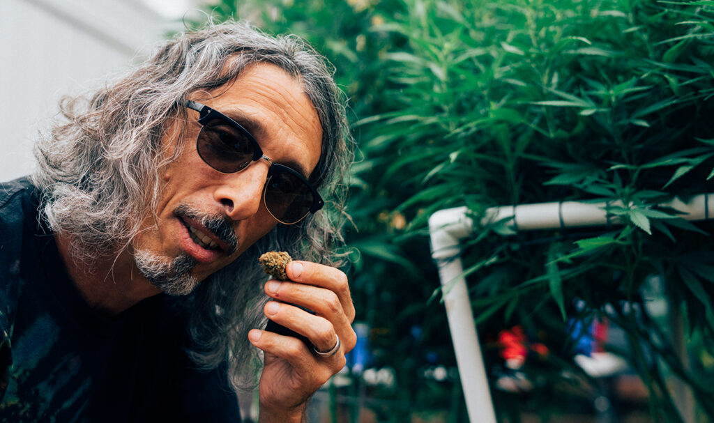 Home grown cannabis co.