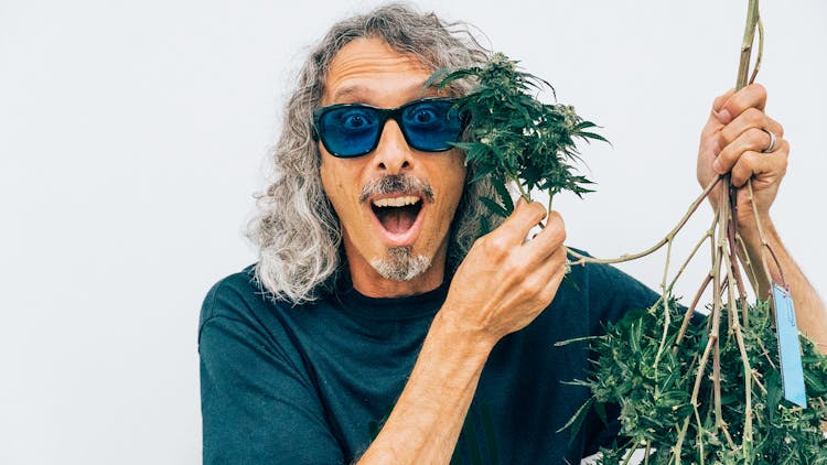 Why you should start growing your own cannabis with Homegrown Cannabis Co. image