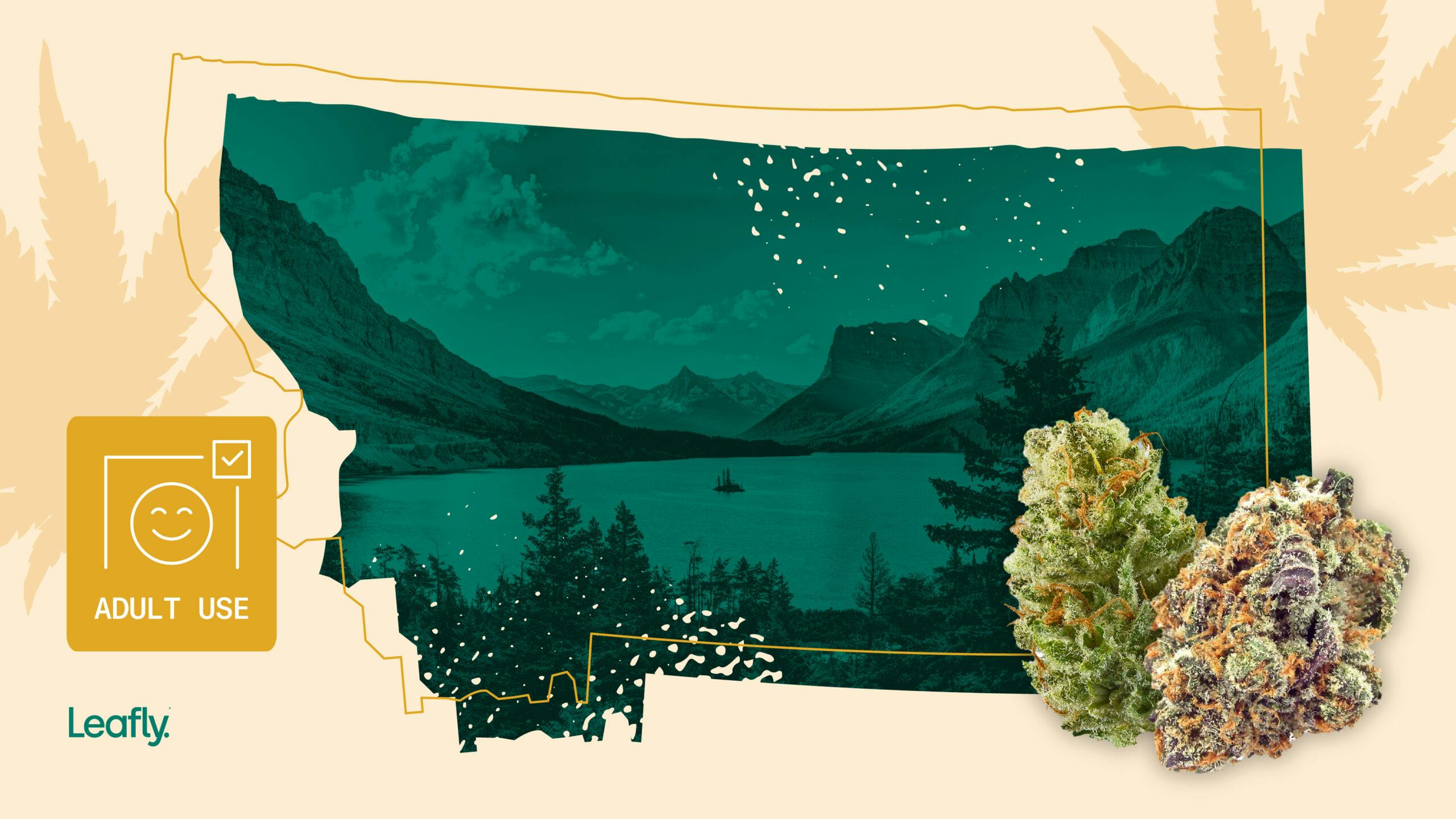 How to find Montana’s open adult-use cannabis stores image