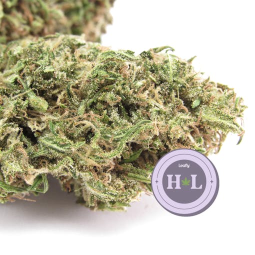 A nug of Durban Poison with the High Lights stamp.