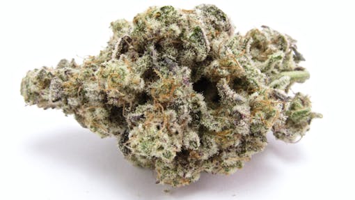 A macro of MAC Caps Cut from LA Made just covered in trichomes over a greenish-purple, orange-haired mega nug. (David Downs/Leafly)