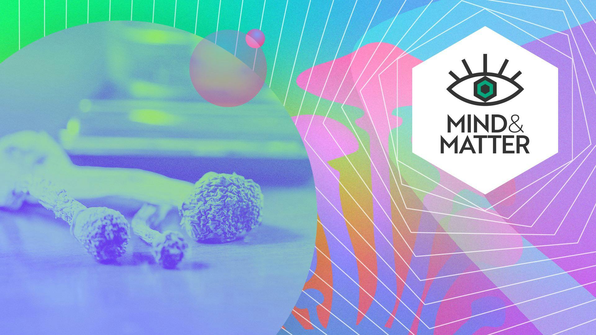 What are the potential risks of microdosing psychedelics? image