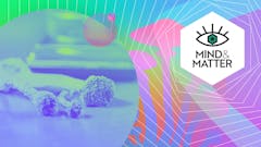 psychedelic mushrooms