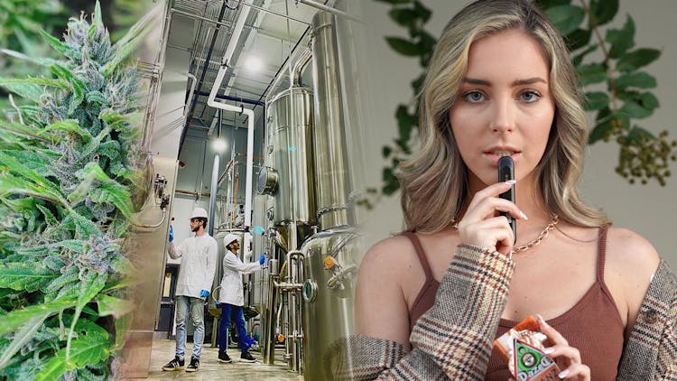 Step up to the plate with DazeD8 delta-8 image