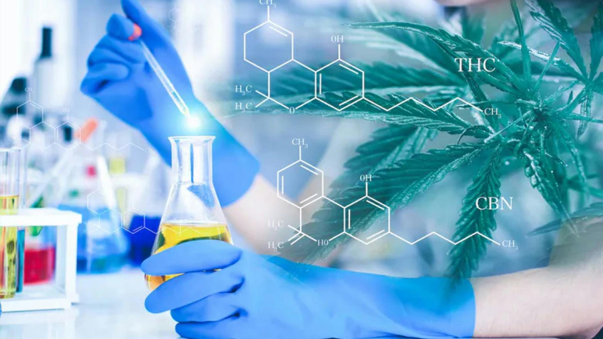 NFL will study how cannabis impacts athletes image