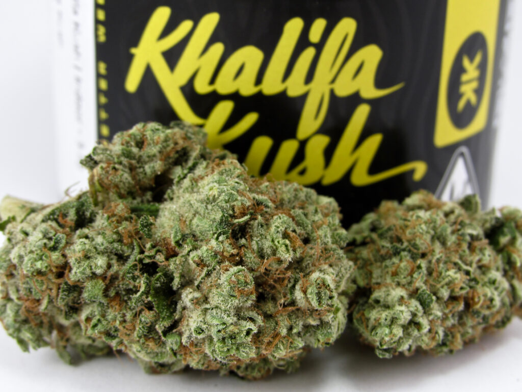 Pictures of tasty green nugs. Live young, wild, and free in 2022 with the Khalifa Kush fresh drop. (David Downs/Leafly)