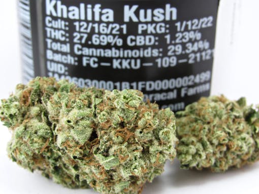 Fresh from FloraCal for winter—Khalifa Kush 2022 jars. (David Downs/Leafly)