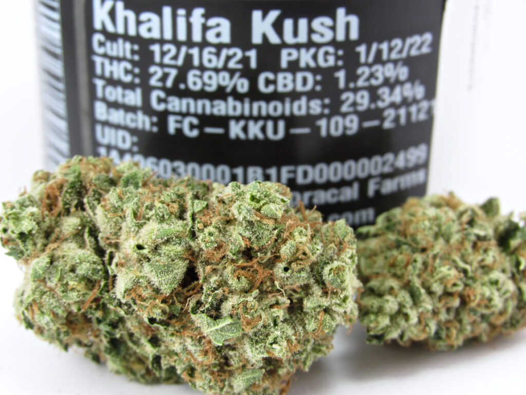 Fresh from FloraCal for winter—Khalifa Kush 2022 jars. (David Downs/Leafly)