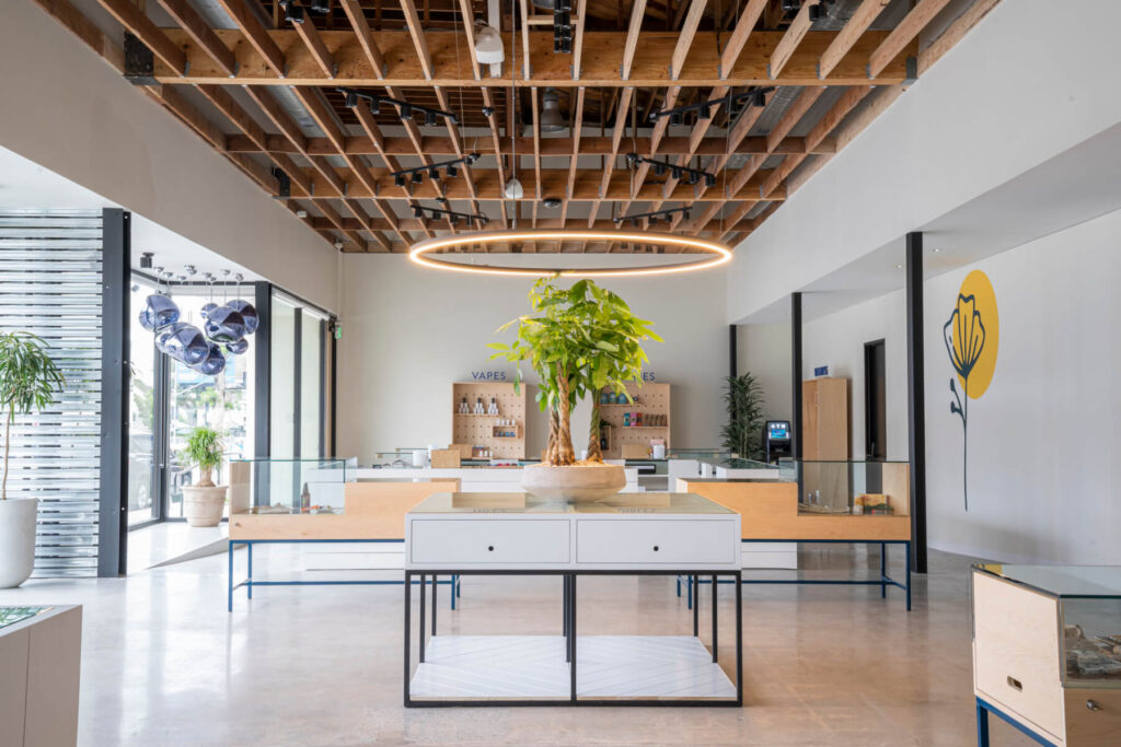 Sweet Flower looks sweet. (Courtesy Sweet Flower)