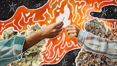 Leafly's definitive, updates list of the best weed strains for sex. (Leafly)