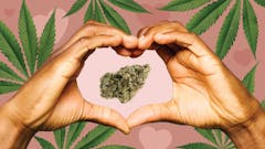Leafly's definitive, updated list of the best weed strains for sex.