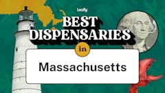 Best dispensaries in Massachusetts