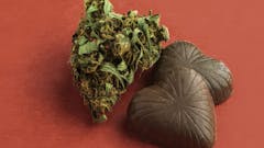 Valentine's Day strains and songs list via Adobestock