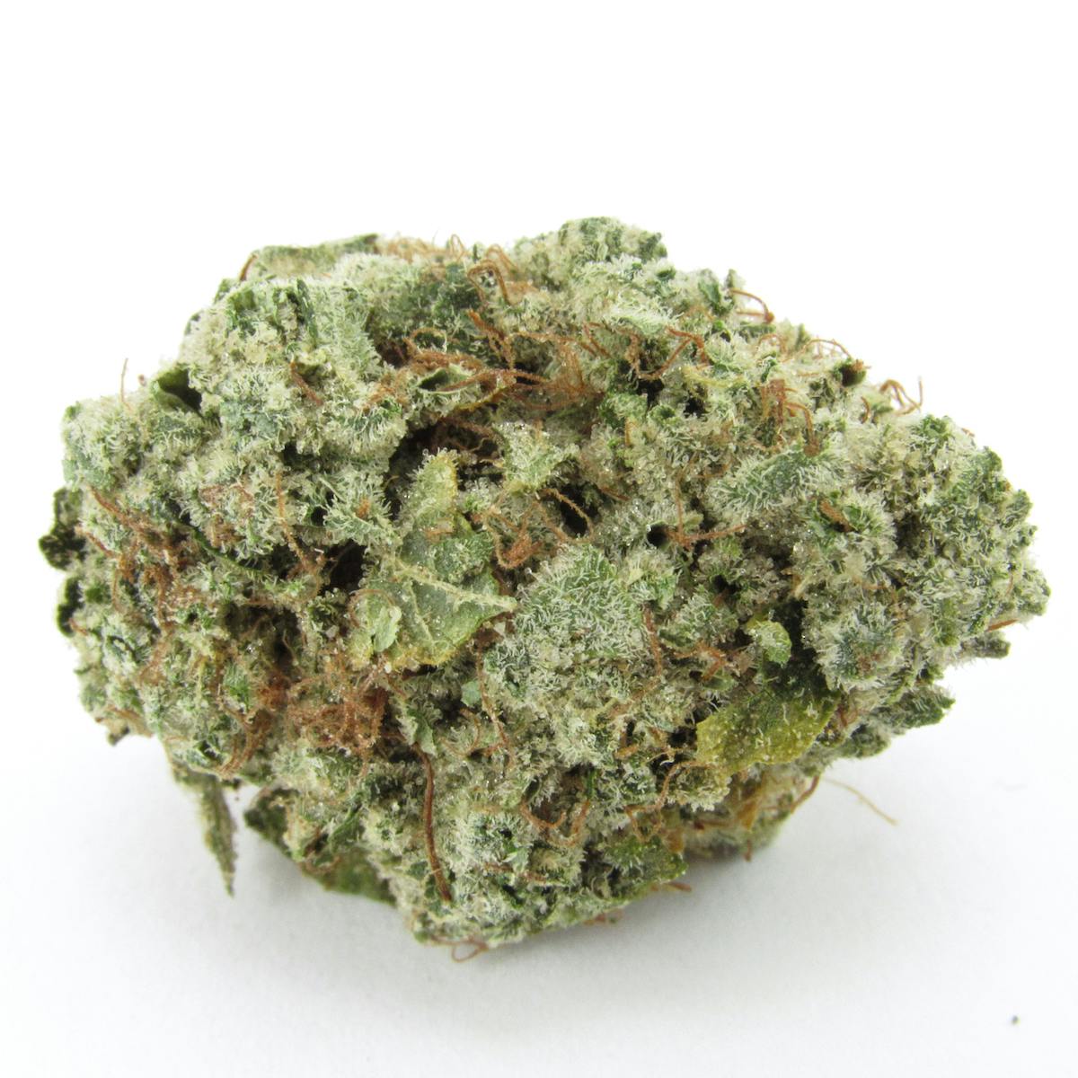 Breeder profile: Jungle Boys cannabis breeders and growers image