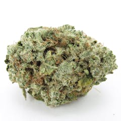 Jungle Boys Gator Breath 3 (David Downs/Leafly)