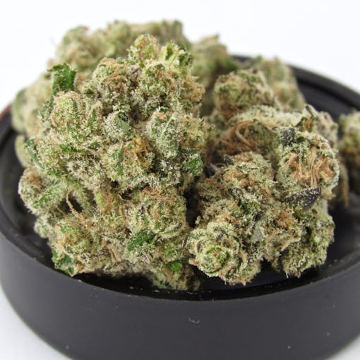 Pink Certz (David Downs/Leafly)